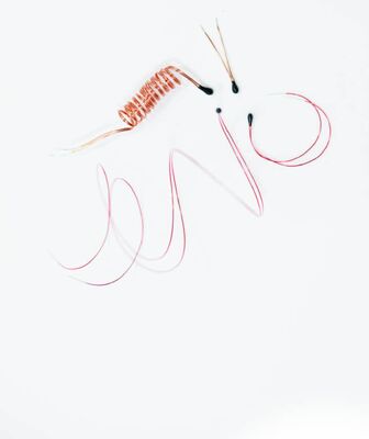 Termistor NTC revestido com epoxi com fios de chumbo esmaltados para termômetros digitais